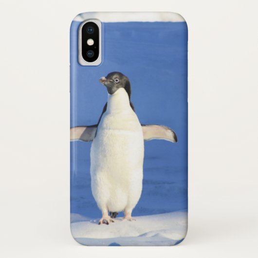Funny pinguin op ijsfoto Case-Mate iPhone case (Achterkant)