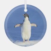 Funny pinguin op ijsfoto glas ornament (Voorkant)