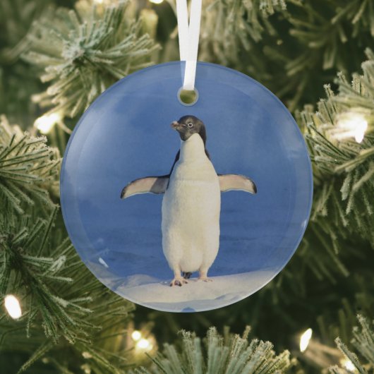 Funny pinguin op ijsfoto glas ornament (Insitu)