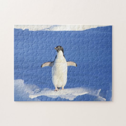 Funny pinguin op ijsfoto legpuzzel (Horizontaal)