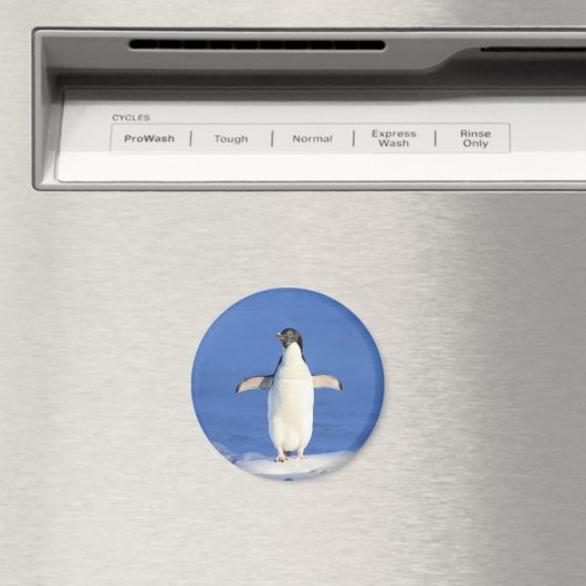 Funny pinguin op ijsfoto magneet (Insitu (Vaatwasser))