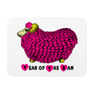Funny Pink Chinees Jaar Zodiac Magnet Magneet