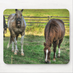 Funny Pinto Stallion & Sorrel Mare Horse Friends Muismat