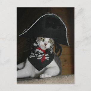 Funny Pirate Cat Briefkaart