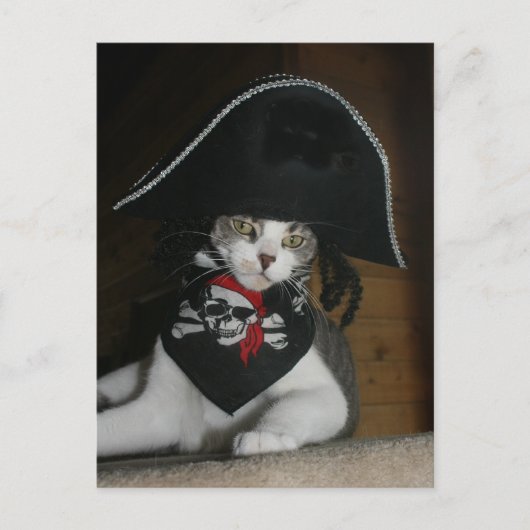 Funny Pirate Cat Briefkaart (Voorkant)