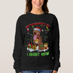 Funny Pitbull Noël laid Sweat Chien Xmas Outf