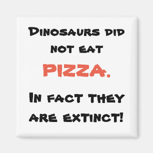 Funny pizza magnet magneet