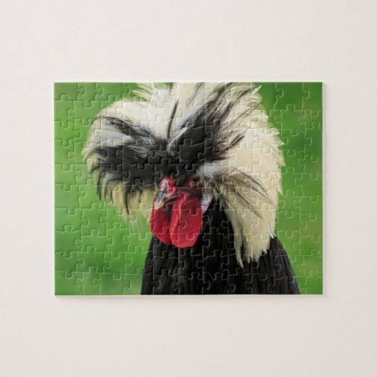 Funny Poland Rooster Legpuzzel (Horizontaal)
