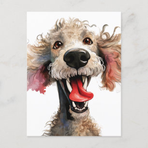 Funny Poodle Cartoon Briefkaart