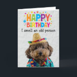 Funny Poodle chien carte d'anniversaire<br><div class="desc">Achetez ceci pour vous-même ou comme un grand cadeau pour vos amis amateurs de chien. Votre chien a sa propre langue unique. Il peut express ses pensées et ses sentiments sur combien il t'aime. Es-tu prêt à entendre ce que pense ton chien ? Soyez donc créatif - la carte peut...</div>