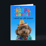 Funny Poodle chien carte d'anniversaire<br><div class="desc">Achetez ceci pour vous-même ou comme un grand cadeau pour vos amis amateurs de chien. Votre chien a sa propre langue unique. Il peut express ses pensées et ses sentiments sur combien il t'aime. Es-tu prêt à entendre ce que pense ton chien ? Soyez donc créatif - la carte peut...</div>
