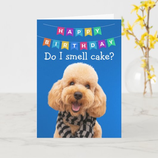 Funny Poodle chien carte d'anniversaire (Fleur jaune)