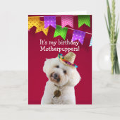Funny Poodle chien carte d'anniversaire (Devant)