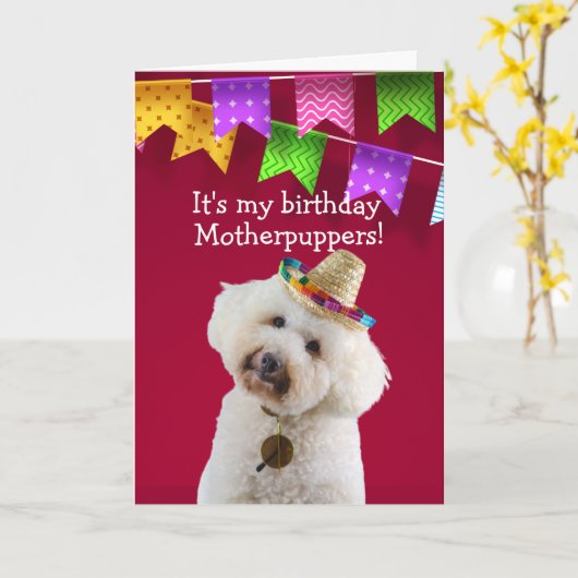 Funny Poodle chien carte d'anniversaire (Fleur jaune)
