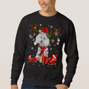 Funny Poodle Dog Reindeer Kerstmis Light Dog Love Trui