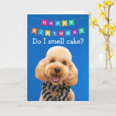Funny Poodle-verjaardagskaart Kaart (Gele Bloem)