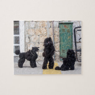 Funny poodles jigzaadpuzzel legpuzzel
