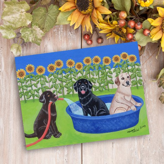 Funny Pool Party Labradors Briefkaart