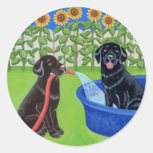 Funny Pool Party Labradors Ronde Sticker