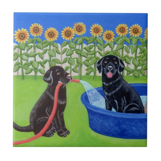 Funny Pool Party Labradors Tegeltje (Voorkant)