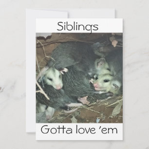Funny Possum Siblings Feestdagenkaart