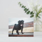 Funny pug briefkaart (Staand voorkant)