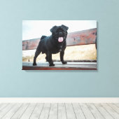 Funny pug canvas afdruk (Insitu (Houten vloer))