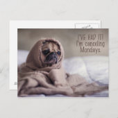 Funny Pug Dog briefkaart (Voorkant / Achterkant)