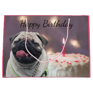 Funny pug groot cadeauzakje