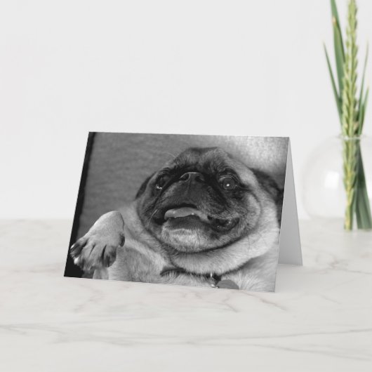 Funny Pug Wenskaart Kaart (Voorkant)