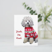 Funny Puli dans une jolie carte de Noël (Debout devant)