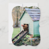 Funny Pun Poulet de Noël Photo Carte de vacances (Dos)