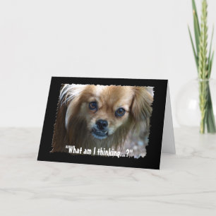 Funny Puppy Dog Birthday Kaart