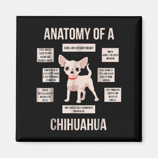 Funny Puppy Gift Anatomie van een Chihuahua Magneet