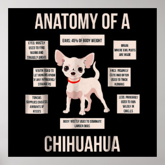 Funny Puppy Gift Anatomie van een Chihuahua Poster