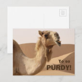 Funny Purdy Camel Foto Briefkaart (Voorkant / Achterkant)