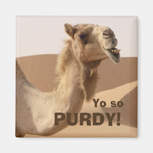 Funny Purdy Camel Foto Magneet (Voorkant)