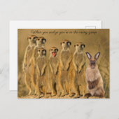 Funny Rabbit Meerkat Post Card Afbeelding Feestdagenkaart (Voorkant / Achterkant)