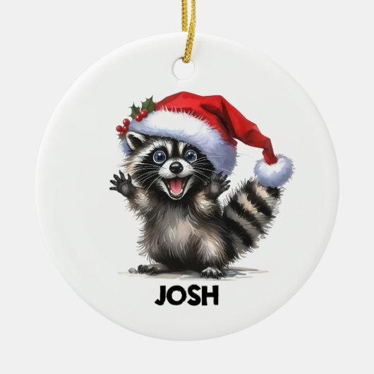 Funny Raccoon Ornament (Voorkant)
