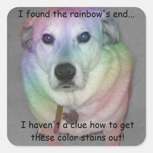 Funny Rainbow Pooch Sticker (Voorkant)