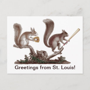 Funny Rally Squirrel Greetings uit St. Louis! Briefkaart
