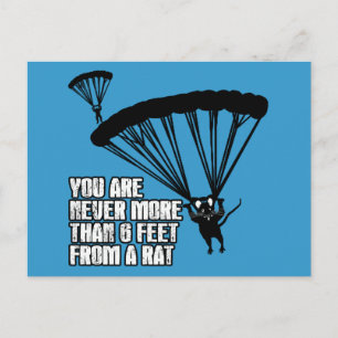 Funny rat briefkaart
