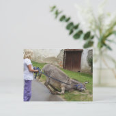Funny Relaxed Donkey Briefkaart (Staand voorkant)