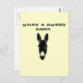 Funny Retro Donkey SweetAss Briefkaart (Voorkant / Achterkant)