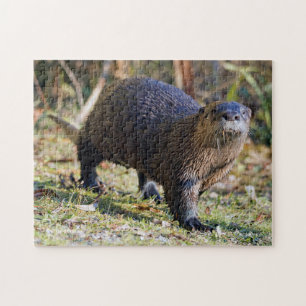 Funny River Otter uit Water Stanley Park Lagoon Legpuzzel