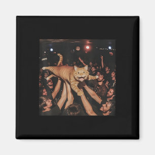 Funny Rock Show Cat Meme Schattige Tabby Kitten Cr Magneet