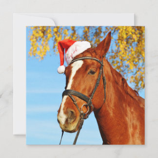 Funny Santa Hat Horse Kerstmis Feestdagenkaart