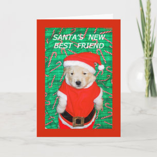Funny Santa Puppy Wenskaart met kerstmis Feestdagen Kaart