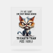 Funny sarcasme court mot de chat (Recto)