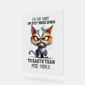 Funny sarcasme court mot de chat (Angle)